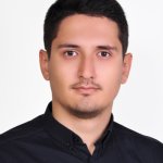 تصویر دکتر سید مرتضی سید شوری