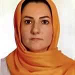 تصویر دکتر نوشین شاه قلی