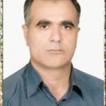 تصویر دکتر محمود کرمی