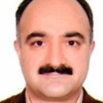 تصویر دکتر مسعود رادمرد