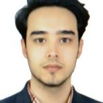 تصویر دکتر سیدشهاب الدین حسینی سریزدی