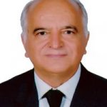 تصویر دکتر مهدی سالک اردستانی