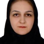 تصویر دکتر مه سان سیف الدین