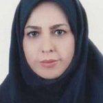 تصویر دکتر نوشین حسینی فولادی