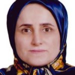 تصویر دکتر هانی طباطبائی
