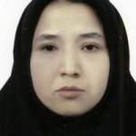 تصویر دکتر رقیه ایزدی سنگ آتش