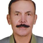 تصویر دکتر حسام الدین اردهالی