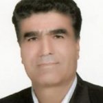 تصویر دکتر هادی طباطبایی