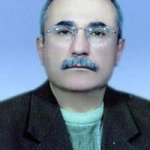 تصویر دکتر حمید کوهی حبیبی دهکردی