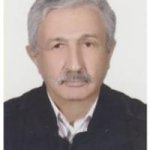 تصویر دکتر حبیب اله حبیبی