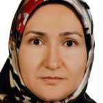 تصویر دکتر فهیمه رنجبر