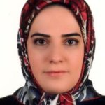 تصویر دکتر سارا حسینی شمس آبادی
