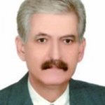 تصویر دکتر محمدمهدی شفیعی
