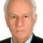تصویر دکتر محمدمهدی طواف لنگرودی