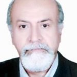 تصویر دکتر محمد حسین زاده مالکی