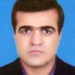 تصویر دکتر بهرام ذبیحی فرد