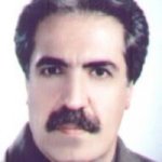 تصویر دکتر محمدتقی انوش