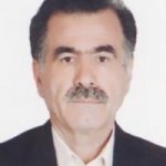 تصویر دکتر محمدتقی مهراب پور