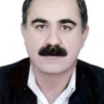 تصویر دکتر سیاوش گودرزی