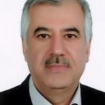 تصویر دکتر نوید وحیدیان کامیار