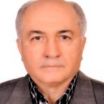 تصویر دکتر بهمن فرهمند