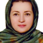 تصویر دکتر بهجت وهاب زاده معماری