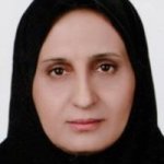 تصویر دکتر شوکت احمدی نورالدین وند