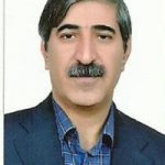 تصویر دکتر سعادت الله نجفی بهزادی
