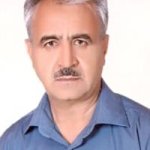 تصویر دکتر عبدالحسن تقی زاده