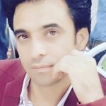 تصویر دکتر حمیدرضا ذبیحی